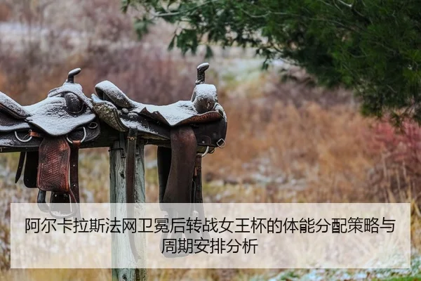 a-er-ka-la-si-fa-wang-wei-mian-hou-zhuan-zhan-nv-wang-bei-de-ti-neng-fen-pei-ce-lve-yu-zhou-qi-an-pai-fen-xi-2-733.jpg