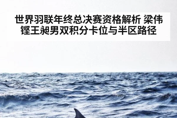世界羽联年终总决赛资格解析 梁伟铿王昶男双积分卡位与半区路径 | nine game